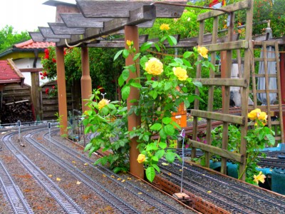 IMG_1559.jpg