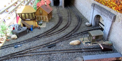IMG_2896.jpg