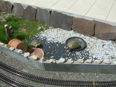 SV103664.JPG
