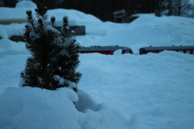 IMG_2353 (1024x683).jpg