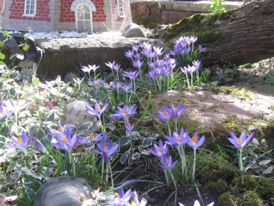 IMG_0587.jpg