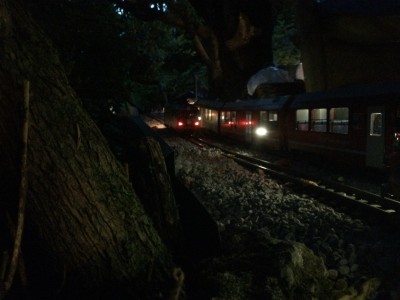 Die ersten Züge Rollen 1  (3).JPG