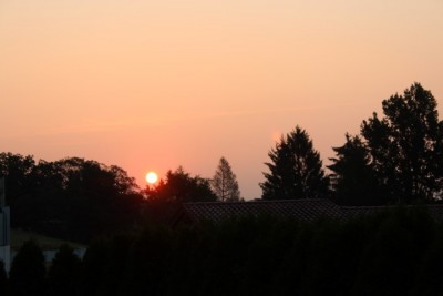 IMG_4122 (Small)1.JPG