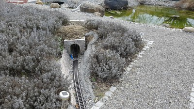 20170223_134955.jpg