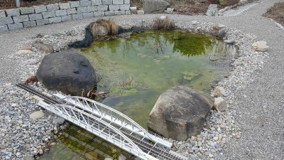 20170224_162534.jpg