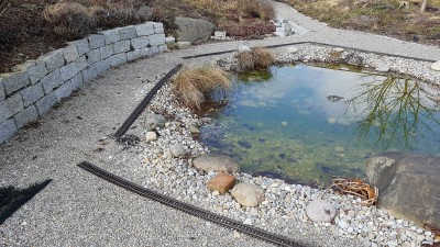 20170225_120140.jpg