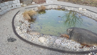20170226_101615.jpg