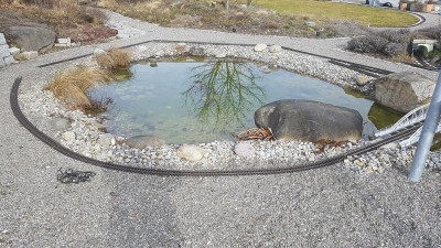 20170226_101622.jpg