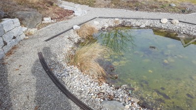 20170226_101640.jpg