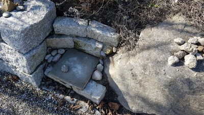 20170302_114154.jpg