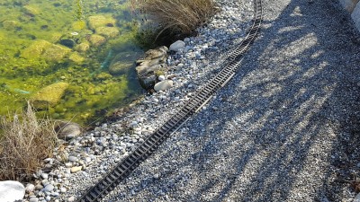 20170302_114201.jpg