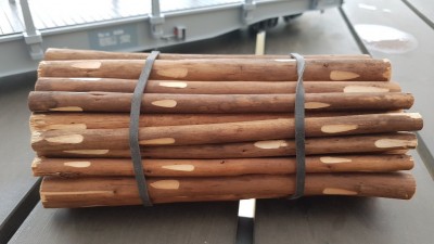 20170624_144827.jpg
