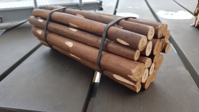 20170624_145128.jpg