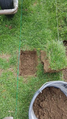 20170726_160006.jpg
