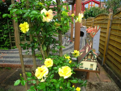 IMG_7822.jpg
